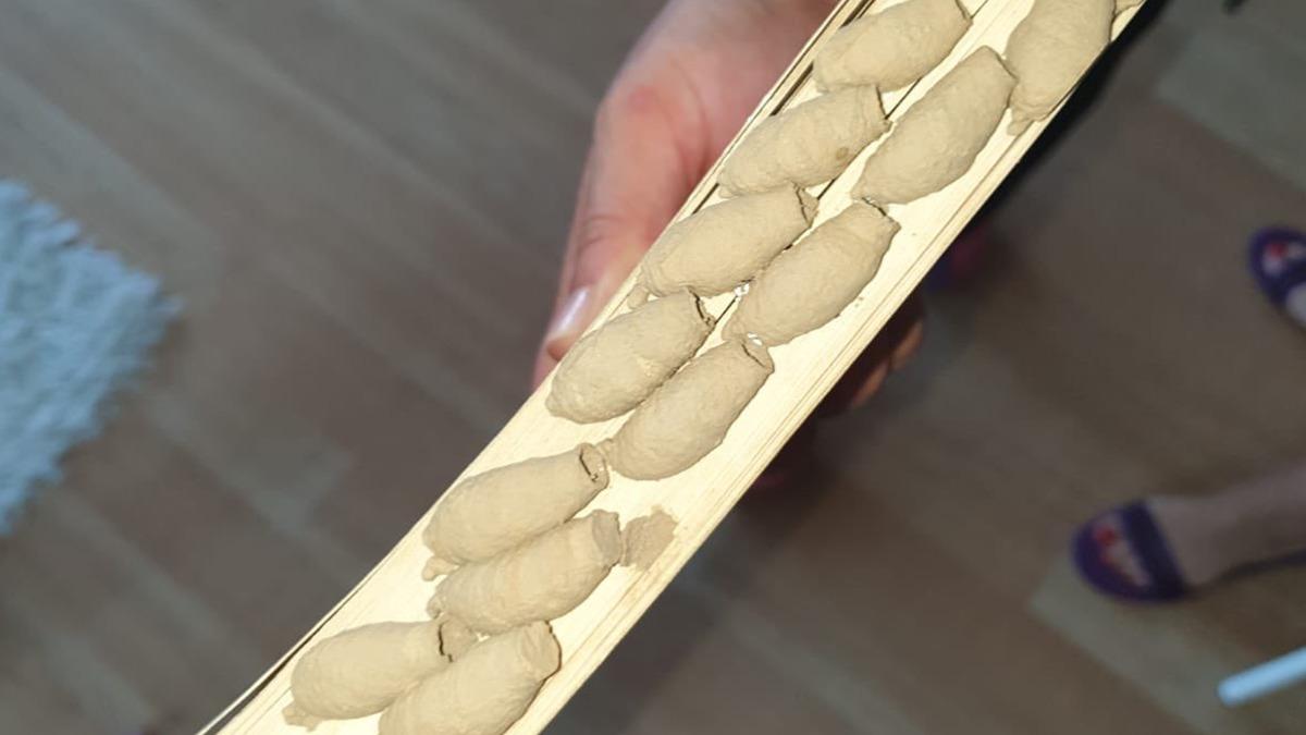 Kitaplığında buldu olay oldu! Evleri istila mı ediyorlar?