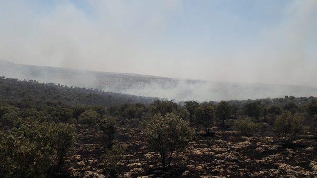 Mardin’deki yangın 24 saat sonra söndürüldü