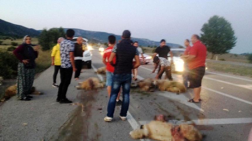 Boyabat’ta kazada 19 koyun telef oldu