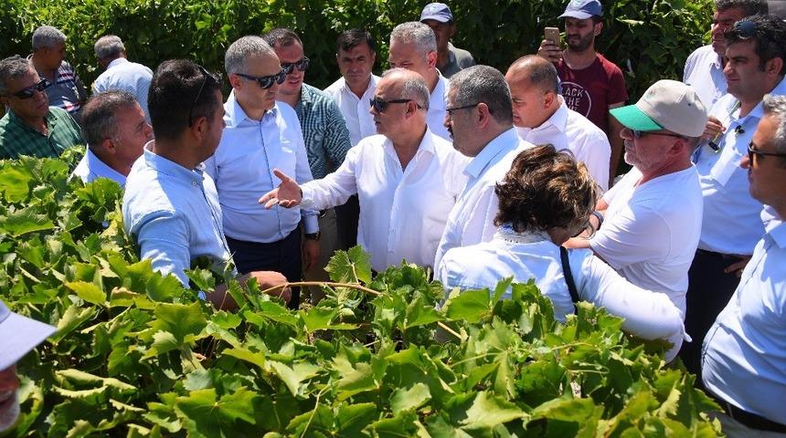 Manisa&rsquo;da biyoteknik m&uuml;cadele ile sağlıklı ve kaliteli &uuml;r&uuml;n