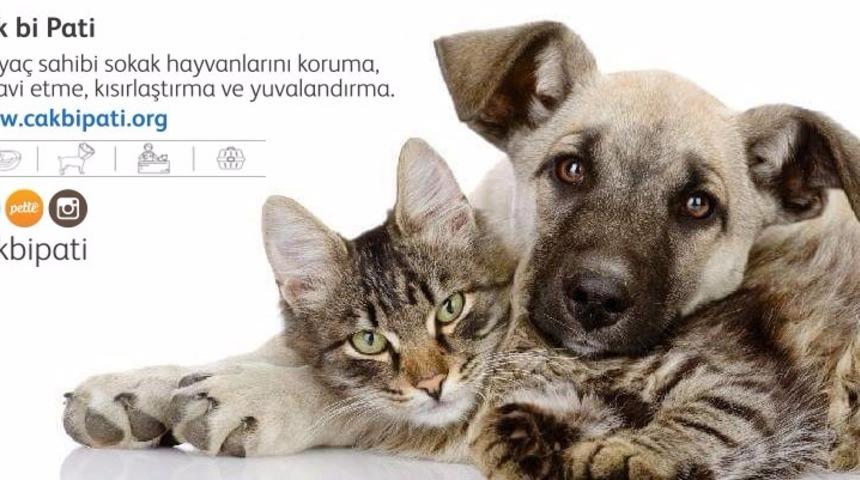 Sokak Hayvanlarını Doyuran, Barındıran, Tedavi Ettiren İyilik Derneği: &Ccedil;ak Bi Pati