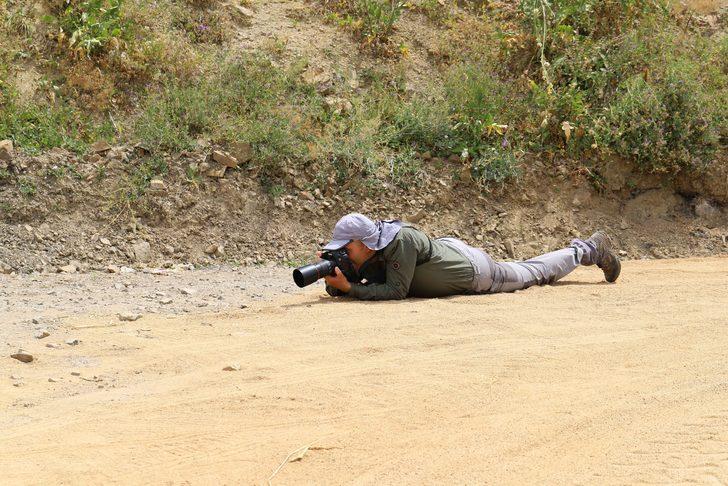 50'den fazlası bir arada! Onları görebilmek için Güneydoğu Anadolu'yu karış karış gezdiler G5