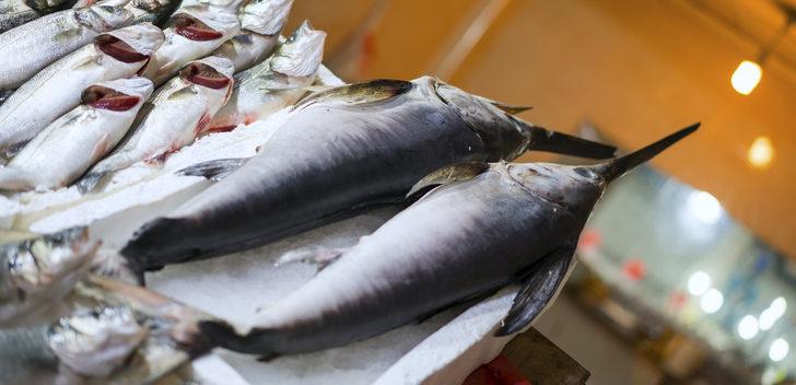 Hamilelere ‘kılıçbalığı ve kral uskumru’ uyarısı G5