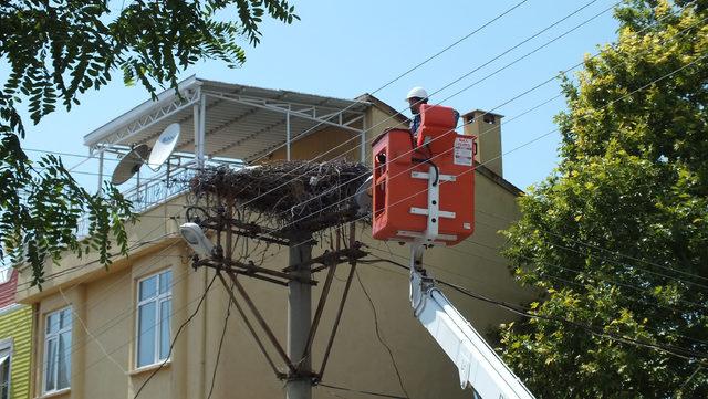 Bigadiç'te biri yavru 2 leylek kurtarıldı