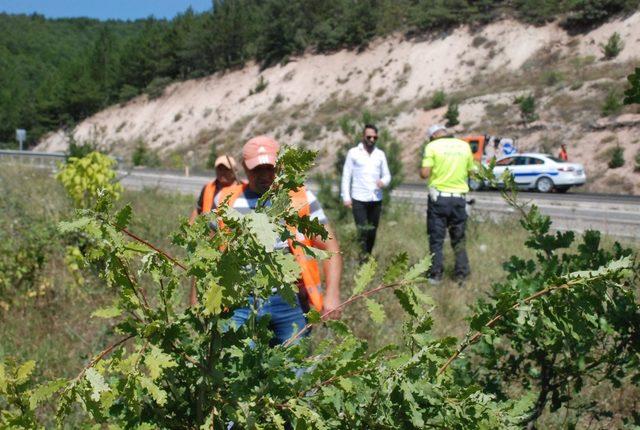 Otomobil şarampole uçtu: 2 yaralı