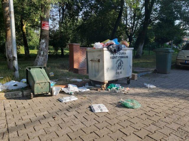 Bakımsız kent ormanı çöplüğe döndü