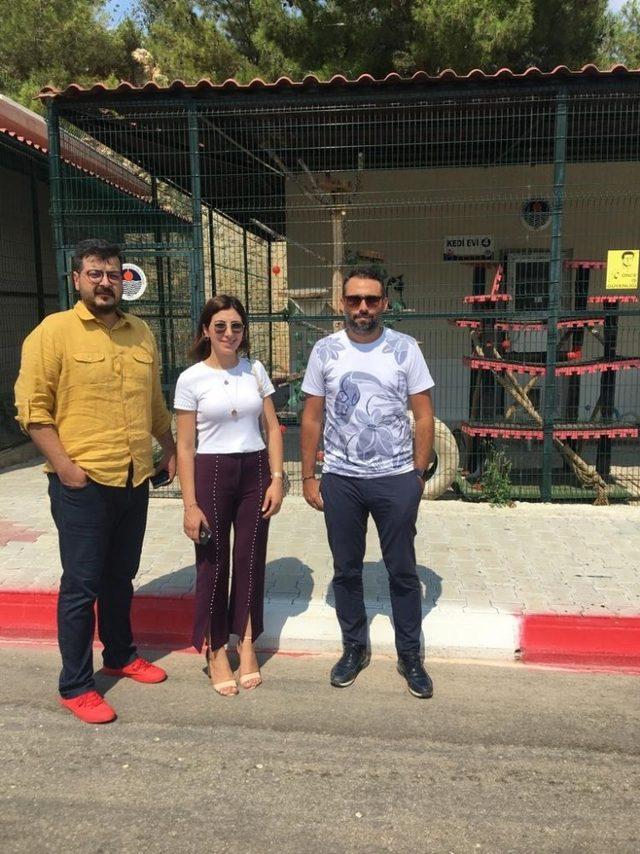 Av. Orçun Özekenci: “Mersin’de sokak hayvanları sahipsiz değil”