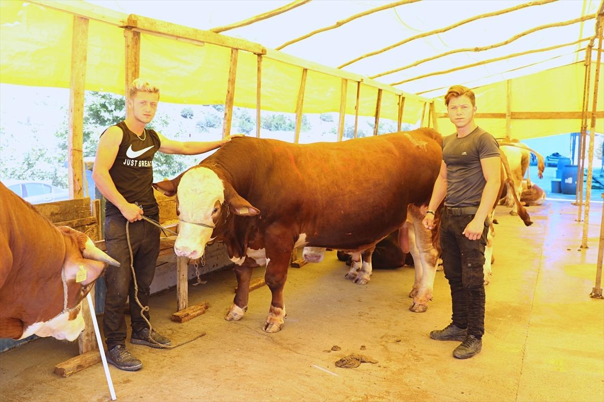 Bir tonluk 'Şampiyon' otomobil parasına satıldı