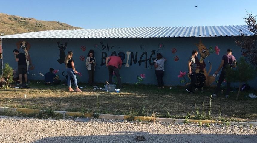 Barınağı renklendirdiler