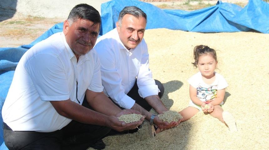 Develi&rsquo;de Gacer Hasadı Başladı