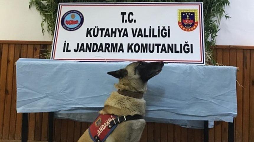 Jandarma’dan uyuşturucu operasyonu