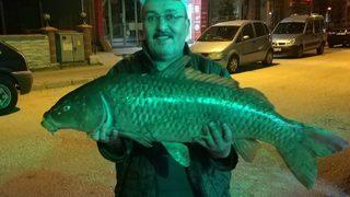 Oltayla 12 kilogramlık pullu sazan yakaladı