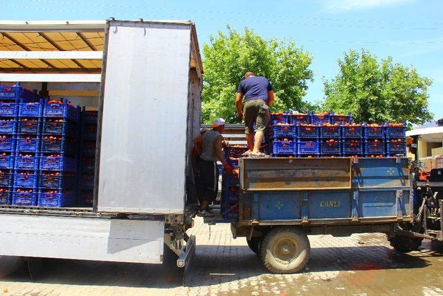 Kas yapmak için değil ekmek kazanmak için her gün 40 ton taşıyorlar