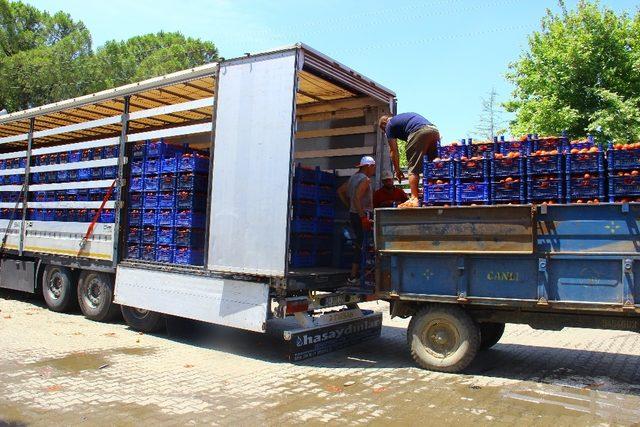 Kas yapmak için değil ekmek kazanmak için her gün 40 ton taşıyorlar