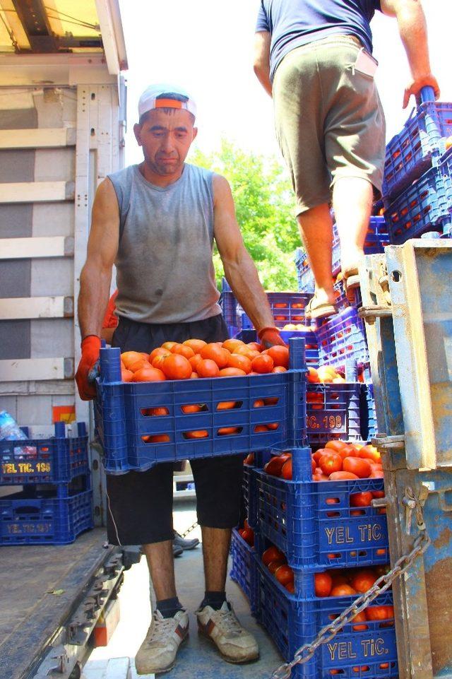 Kas yapmak için değil ekmek kazanmak için her gün 40 ton taşıyorlar