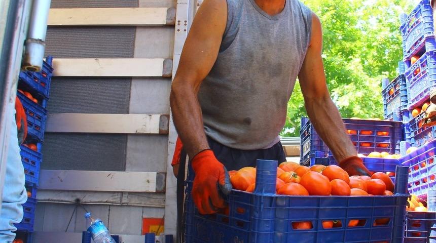 Kas yapmak i&ccedil;in değil ekmek kazanmak i&ccedil;in her g&uuml;n 40 ton taşıyorlar