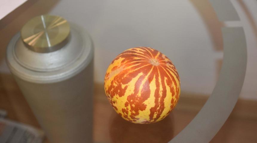 Kokulu kavun tezgaha &ccedil;ıktı