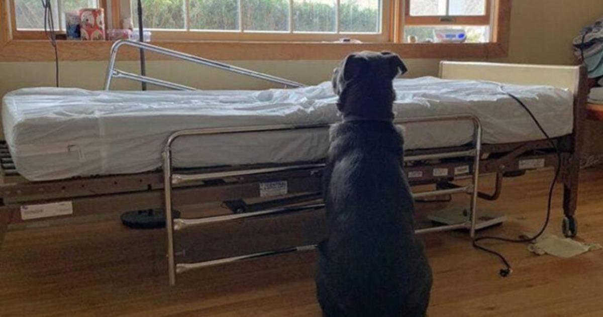 Yatağının başından ayrılmadı!