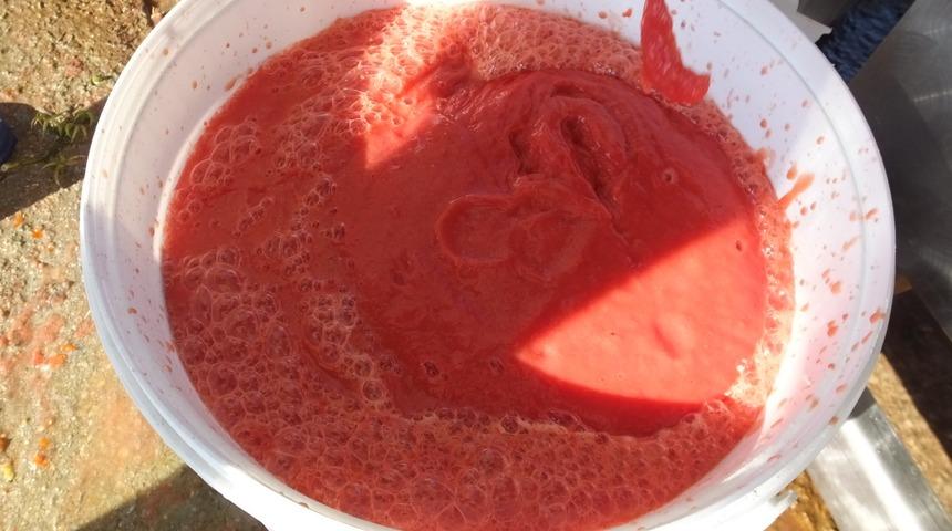 Sal&ccedil;a yapmak hi&ccedil; bu kadar kolay olmamıştı