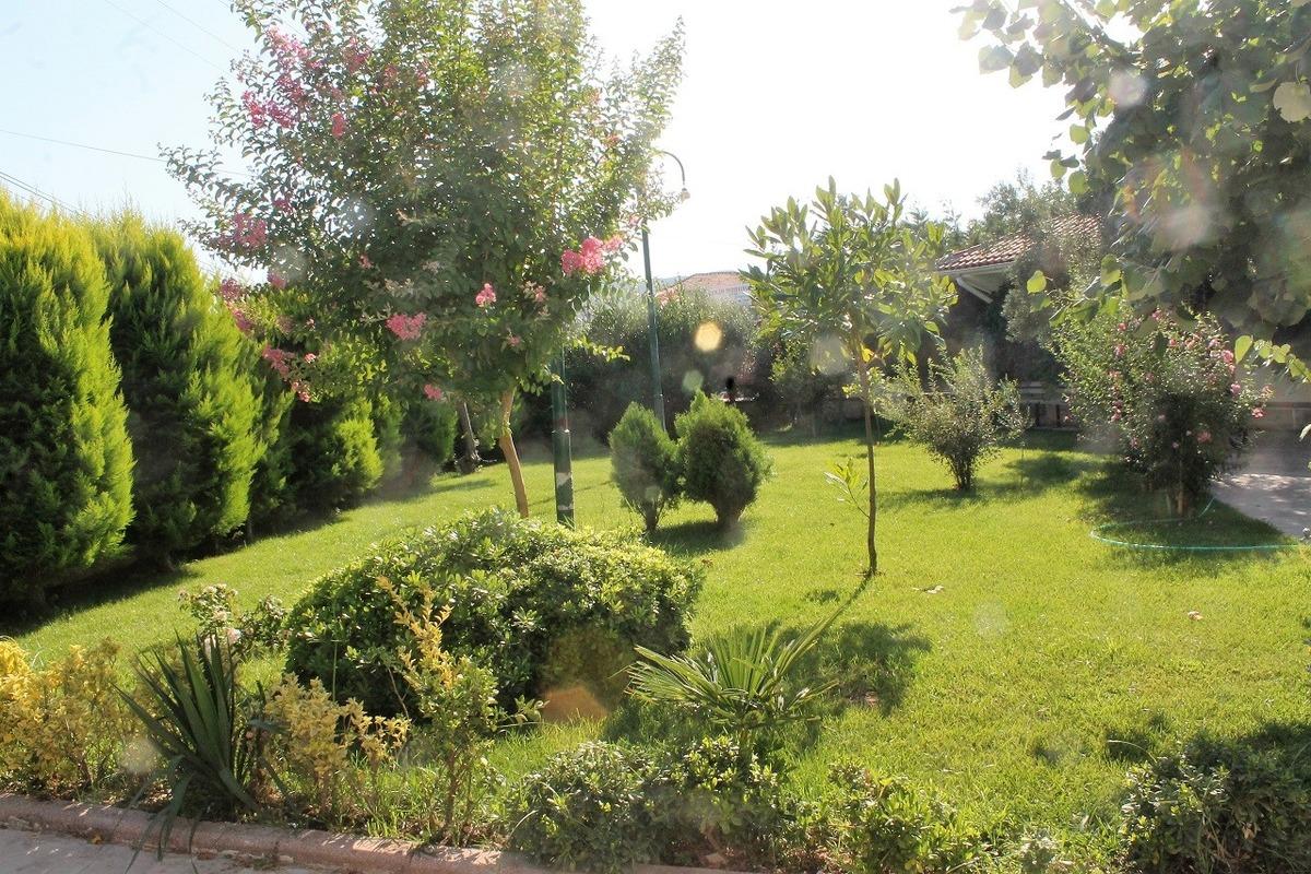 Cami bah&ccedil;esini g&ouml;renler botanik bah&ccedil;esi sanıyor!