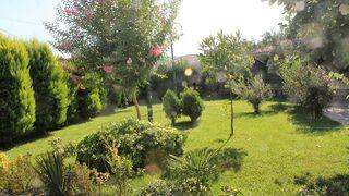 Cami bahçesini görenler botanik bahçesi sanıyor!