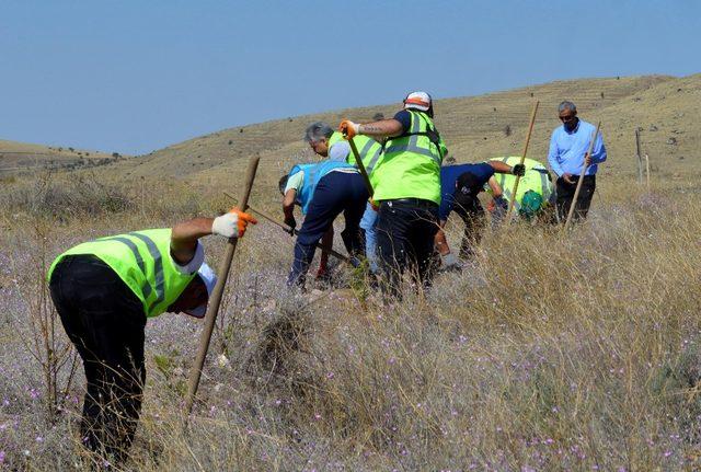 Kayseri Sağlık Müdürlüğü Hatıra Ormanına Sahip Çıkıyor