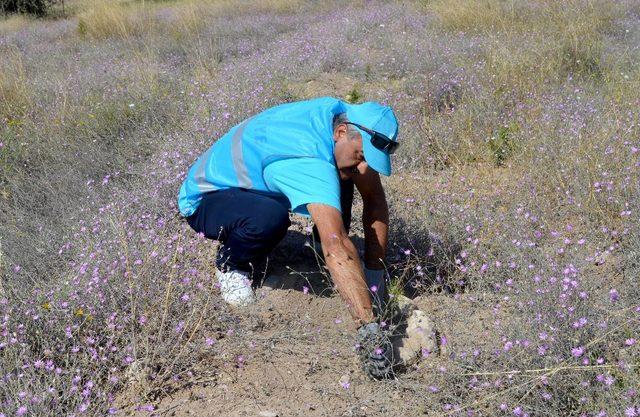 Kayseri Sağlık Müdürlüğü Hatıra Ormanına Sahip Çıkıyor