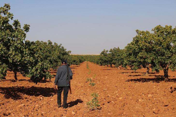 Gece-gündüz silahlarla nöbet tutuyorlar G2