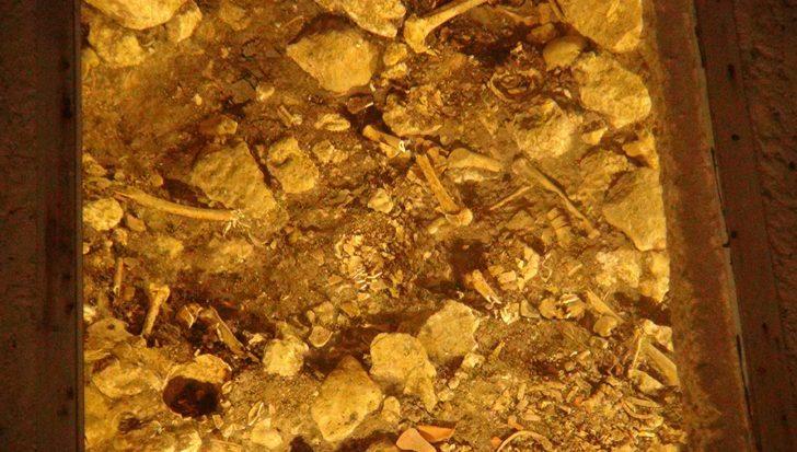 Mardin'de 1500 yıllık toplu mezar! Halka açık sergileniyor G2