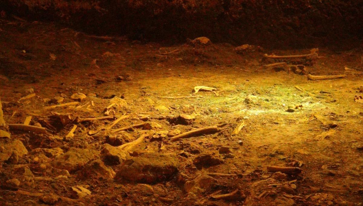 Mardin'de 1500 yıllık toplu mezar! Halka a&ccedil;ık sergileniyor