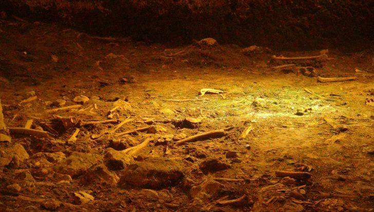 Mardin'de 1500 yıllık toplu mezar! Halka açık sergileniyor G1