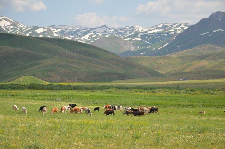 Beytüşşebap Kürtçe kliple tanıtıldı G3