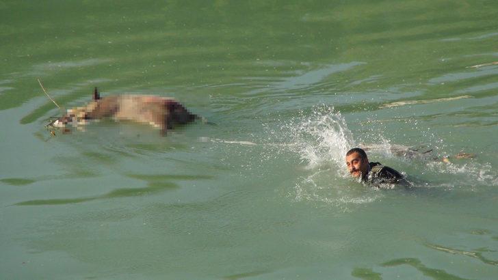 Yardım için ırmağa koştular, o manzara karşısında şok oldular G2