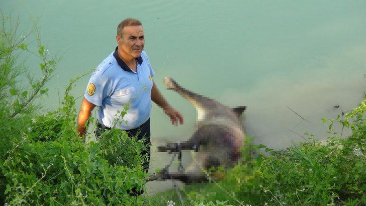 Yardım için ırmağa koştular, o manzara karşısında şok oldular G4