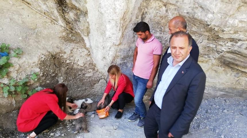 Hayvanlara k&ouml;t&uuml; muamelede bulunan belediye personeline adli işlem