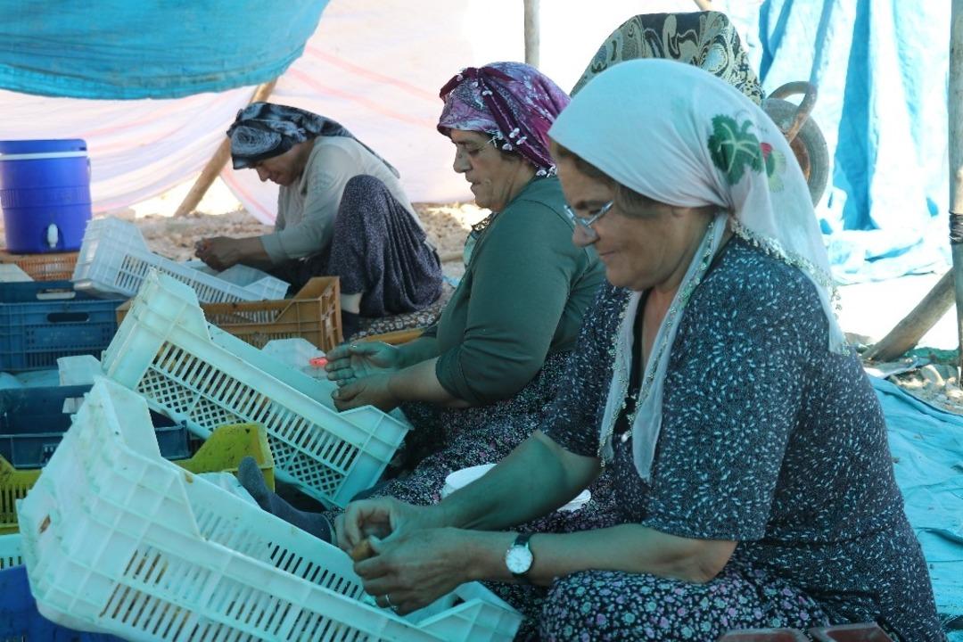 Malatya&rsquo;da &lsquo;patik&rsquo; mesaisi