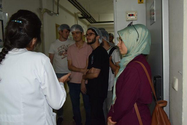 Düzce Üniversitesi öğrencileri açık mutfakta buluştu