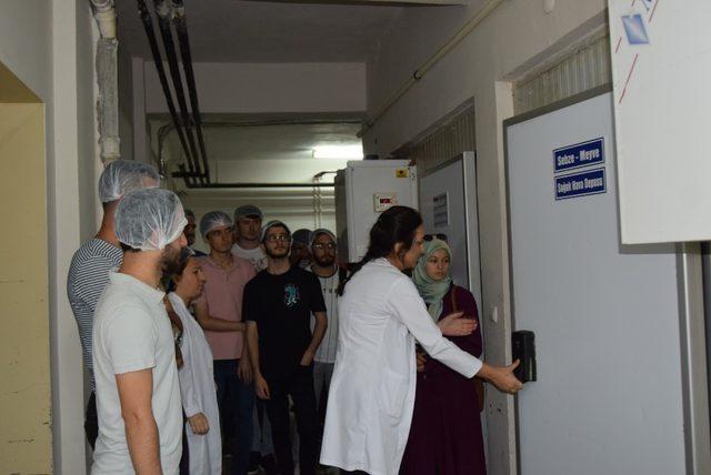 Düzce Üniversitesi öğrencileri açık mutfakta buluştu