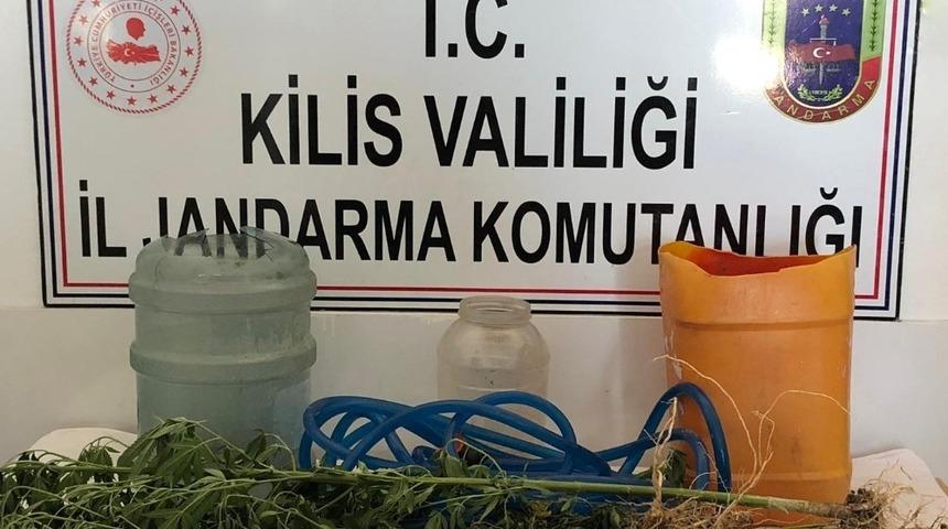 Kilis&rsquo;te kenevir operasyonu