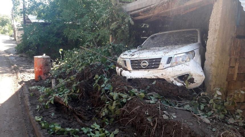 Artvin&rsquo;de toprak kaymasında 20 hayvan toprak altında kaldı