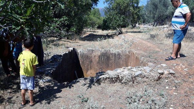 Su havuzuna düşen yavru domuzu itfaiye kurtardı