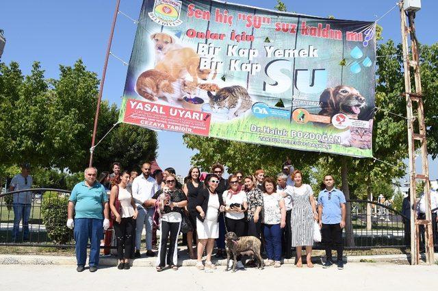 Tarsus’ta sokak hayvanlarına özel suluk ve mama kapları