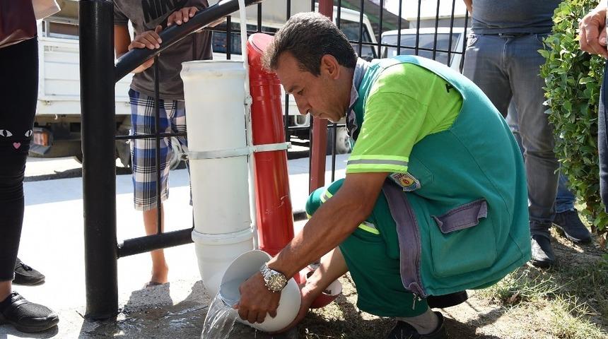Tarsus&rsquo;ta sokak hayvanlarına &ouml;zel suluk ve mama kapları