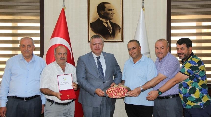 Yılın ilk antepfıstığına GTB’den altın ödülü