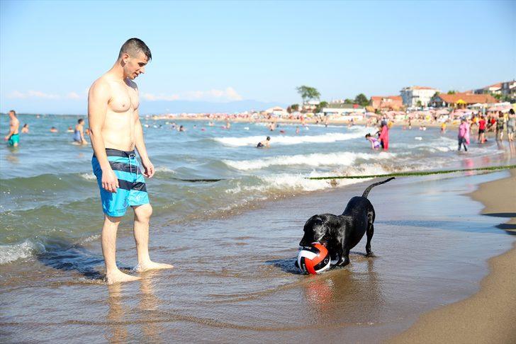 Sakarya'nın mavi bayraklı plajları Ege ve Akdeniz'i aratmıyor G5