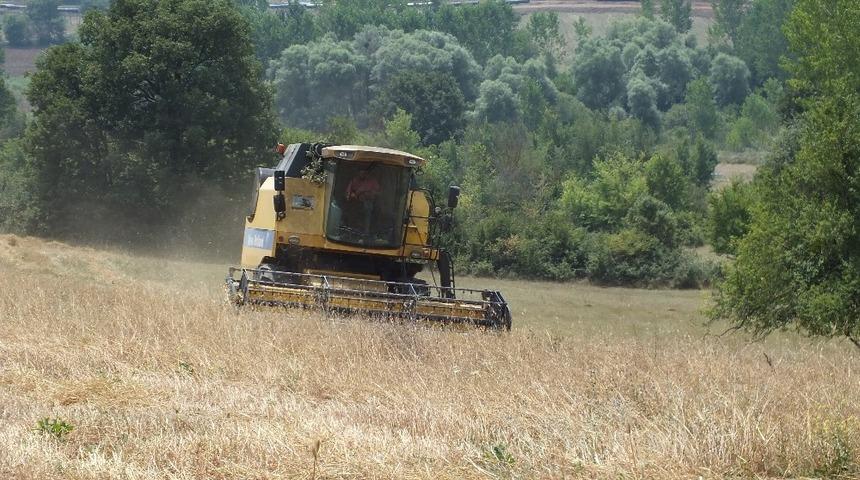Pazaryeri&rsquo;nde buğday arpa hasadı başladı