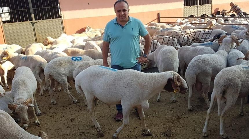 Vatandaşlara kurban alımı ile kesimi uyarısı