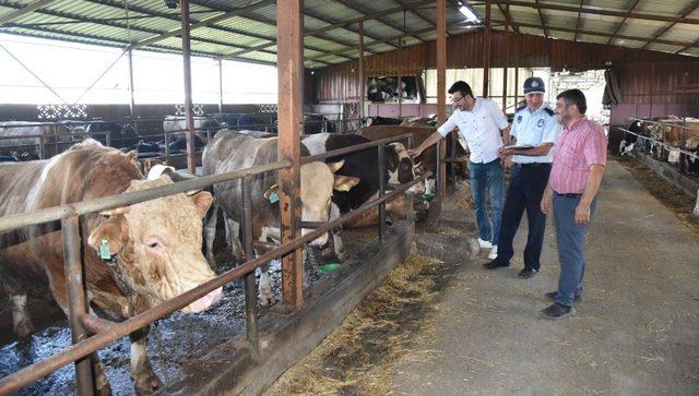 Kartepe Belediyesi’nden kurban satış ve kesim yerlerine denetim