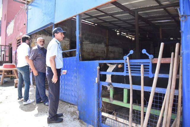 Kartepe Belediyesi’nden kurban satış ve kesim yerlerine denetim