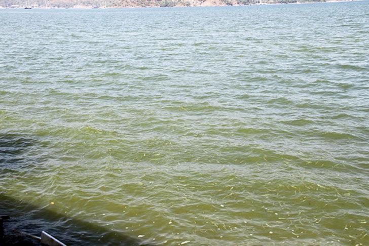 Fethiye Körfezi'ndeki renk değişiminin nedeni belli oldu G2